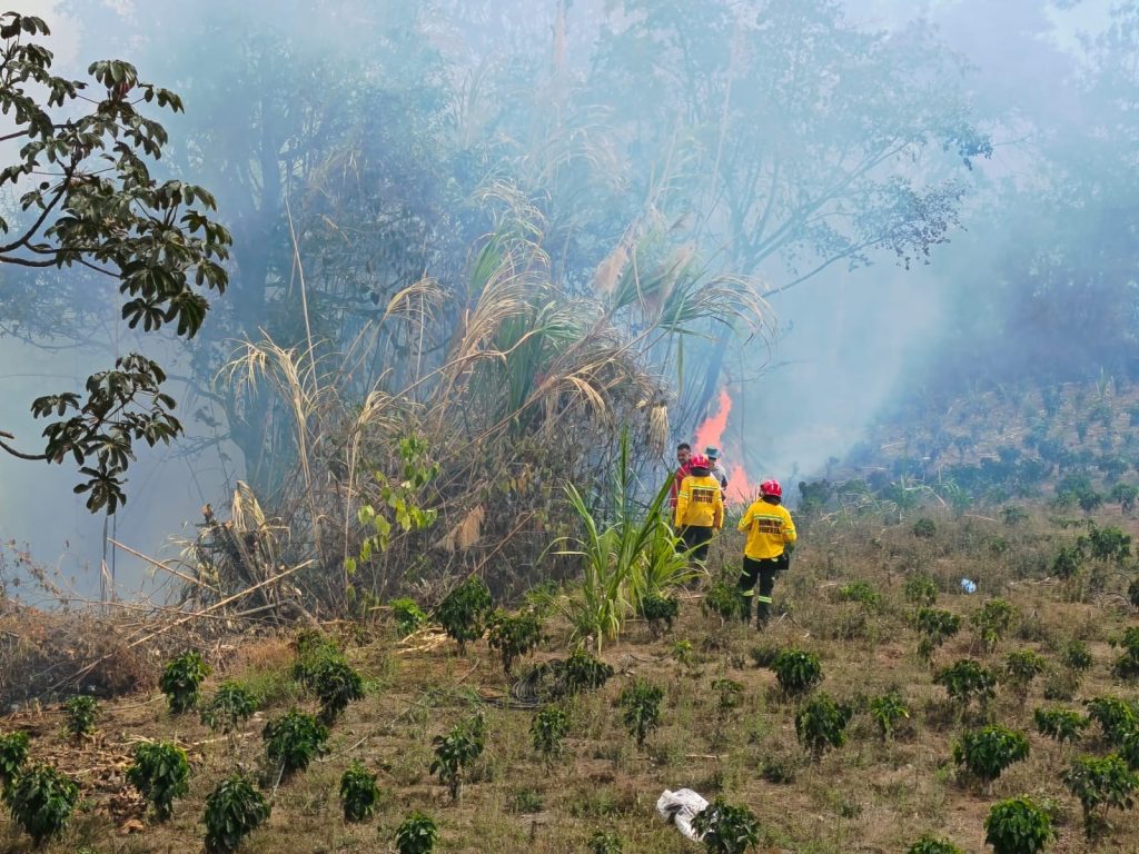 Unidad del Cuerpo de Bomberos Voluntarios del tambo desarrolla labores de control y extinción entre la vegetación, mientras una densa concentración de humo cubre el área afectada por el incendio forestal. 