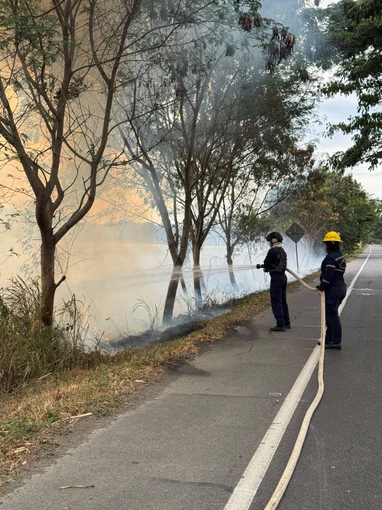 Personal bomberil realiza labores de control entre árboles, humo y vegetación seca.
