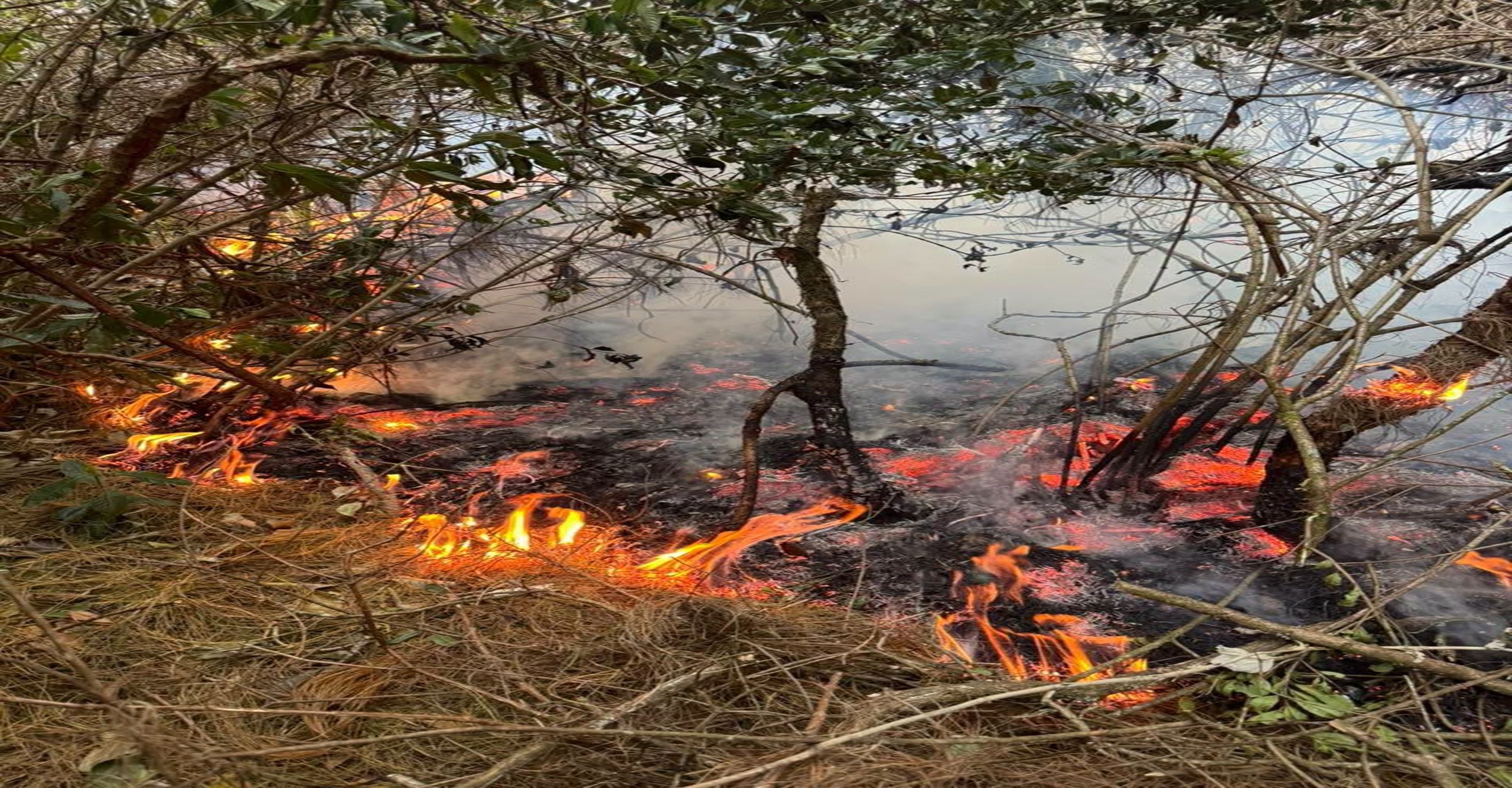 Bomberos atienden tres incendios forestales en Pasto; continúa operación en el cerro Morasurco