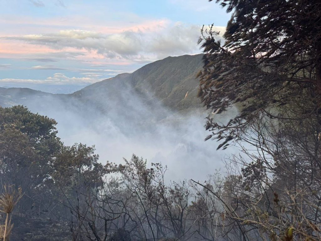 Humo cubre parcialmente la vegetación de una ladera, con montañas al fondo.