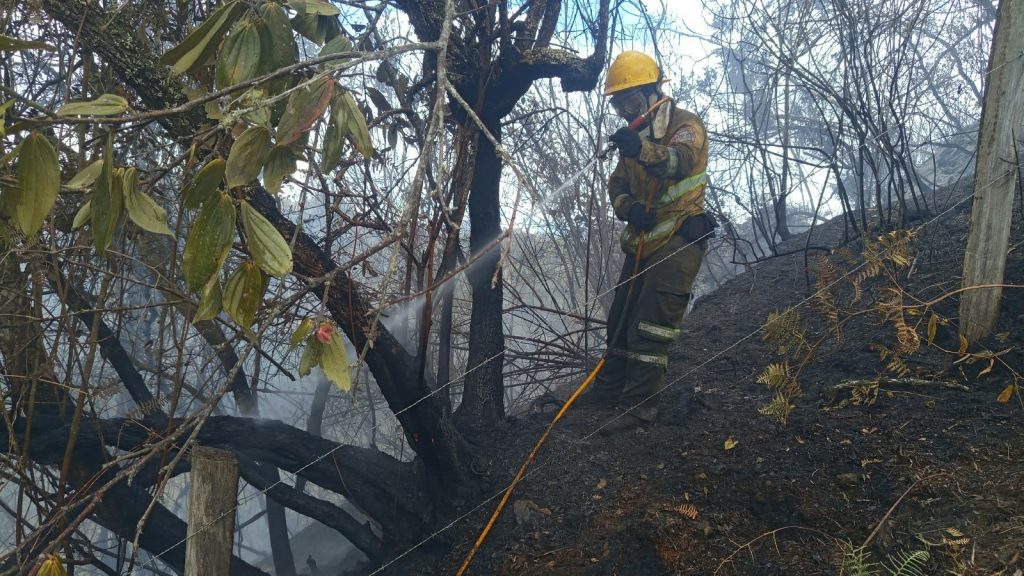 Bombero liquidando Incendio Forestal Pacho Cundinamarca