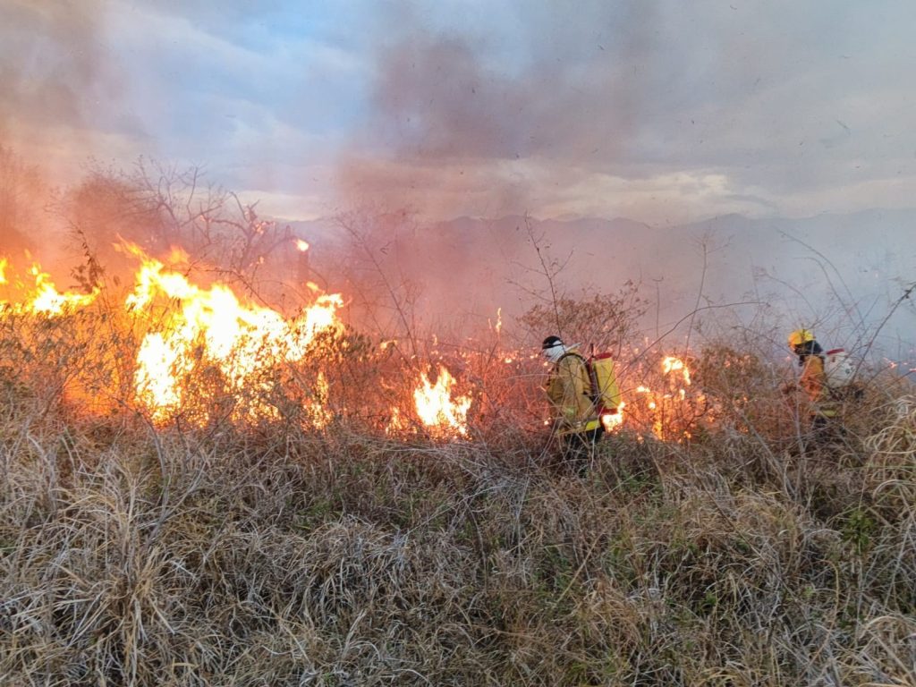 Bombero en Incendio Forestal