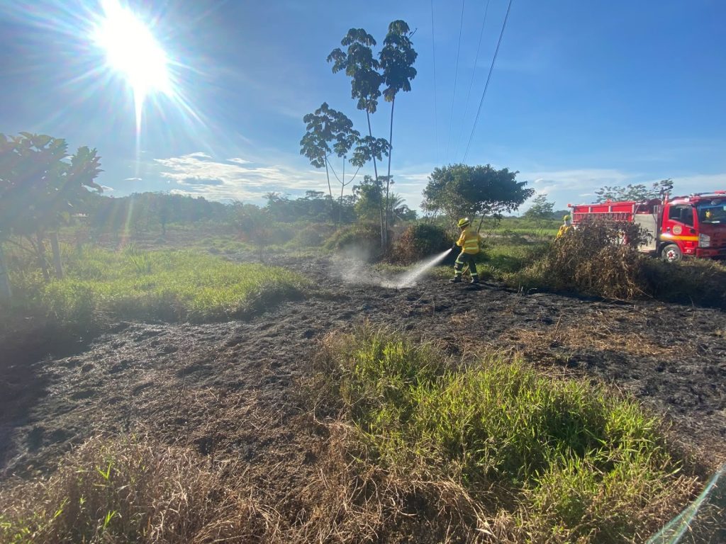 Bombero liquidando incendio forestal Portada