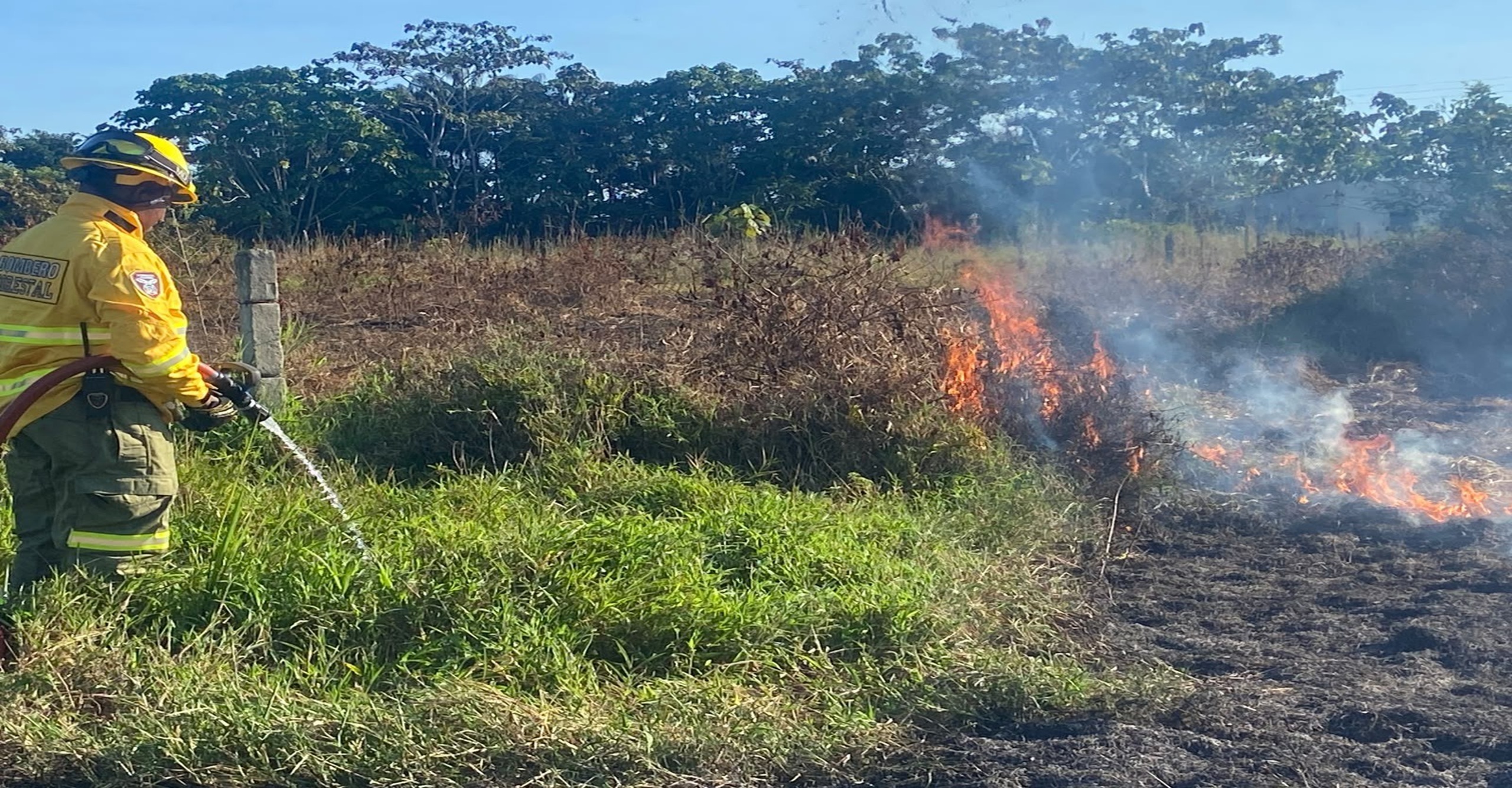Bomberos Voluntarios de Puerto Asís – Putumayo liquidaron incendio Forestal en el Muelle la esmeralda 