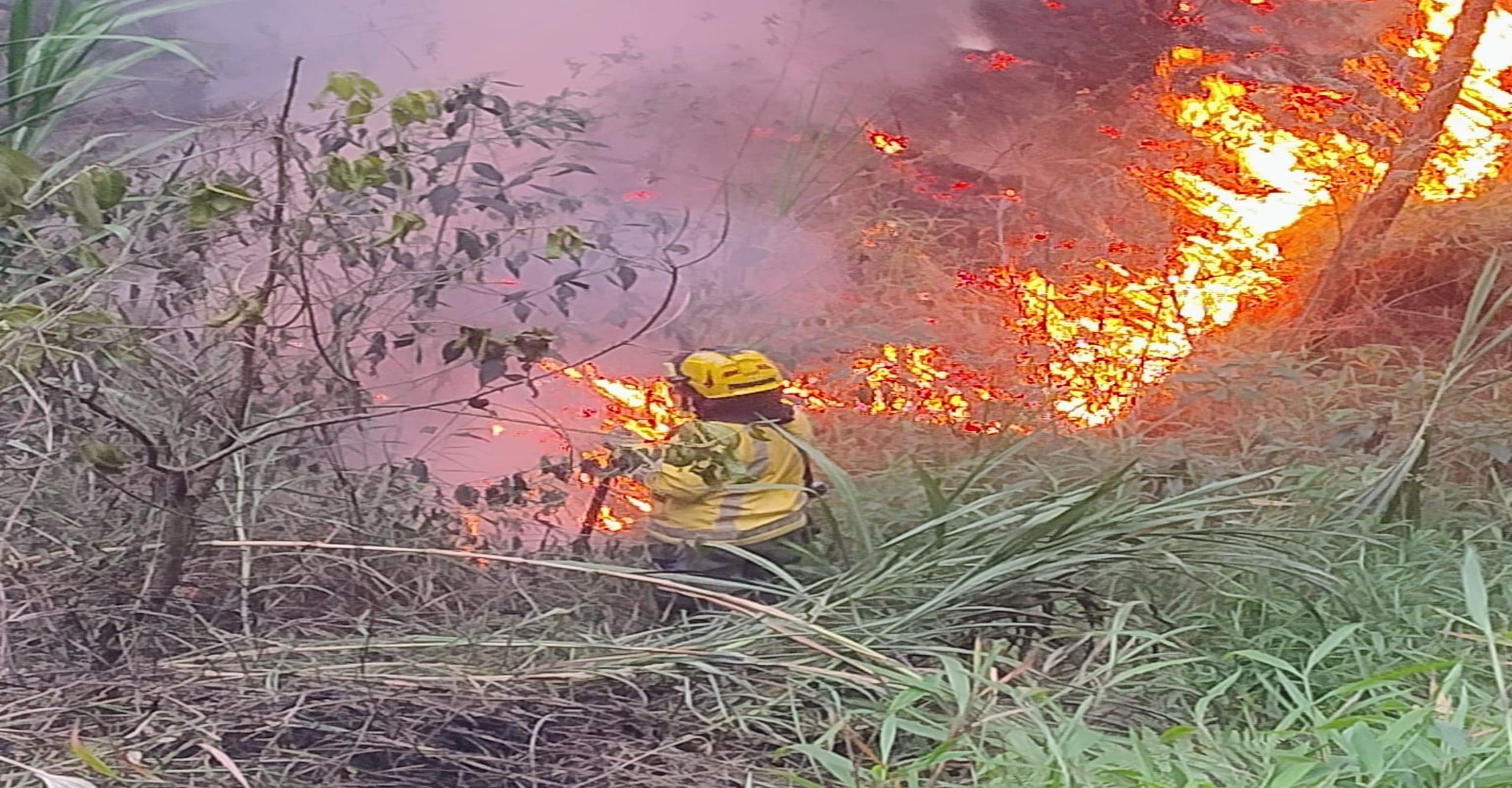 Incendio forestal en el Cerro Quitasol fue liquidado tras operación del Cuerpo de Bomberos de Bello
