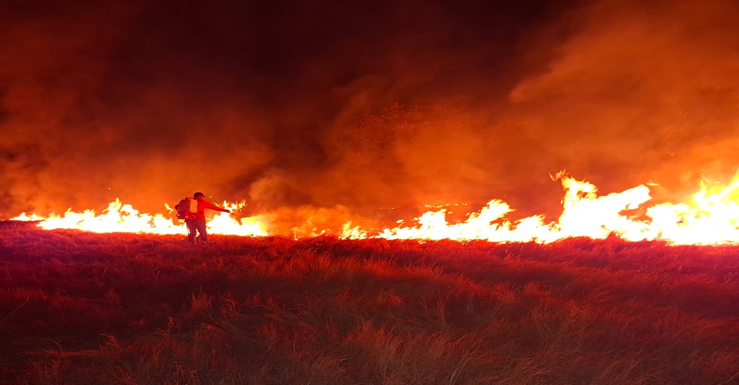 Liquidado incendio forestal en zona rural de Campoalegre, Huila
