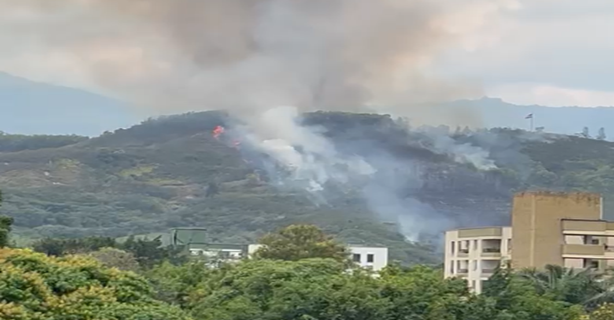 Amplio despliegue bomberil para atender incendio forestal en el Cerro La Bandera