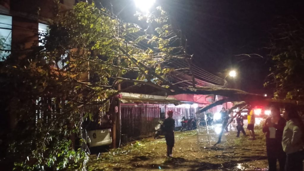 Unidades bomberiles atienden la caída de árboles y ramas ocasionada por el vendaval en Puerto Asís, Putumayo.