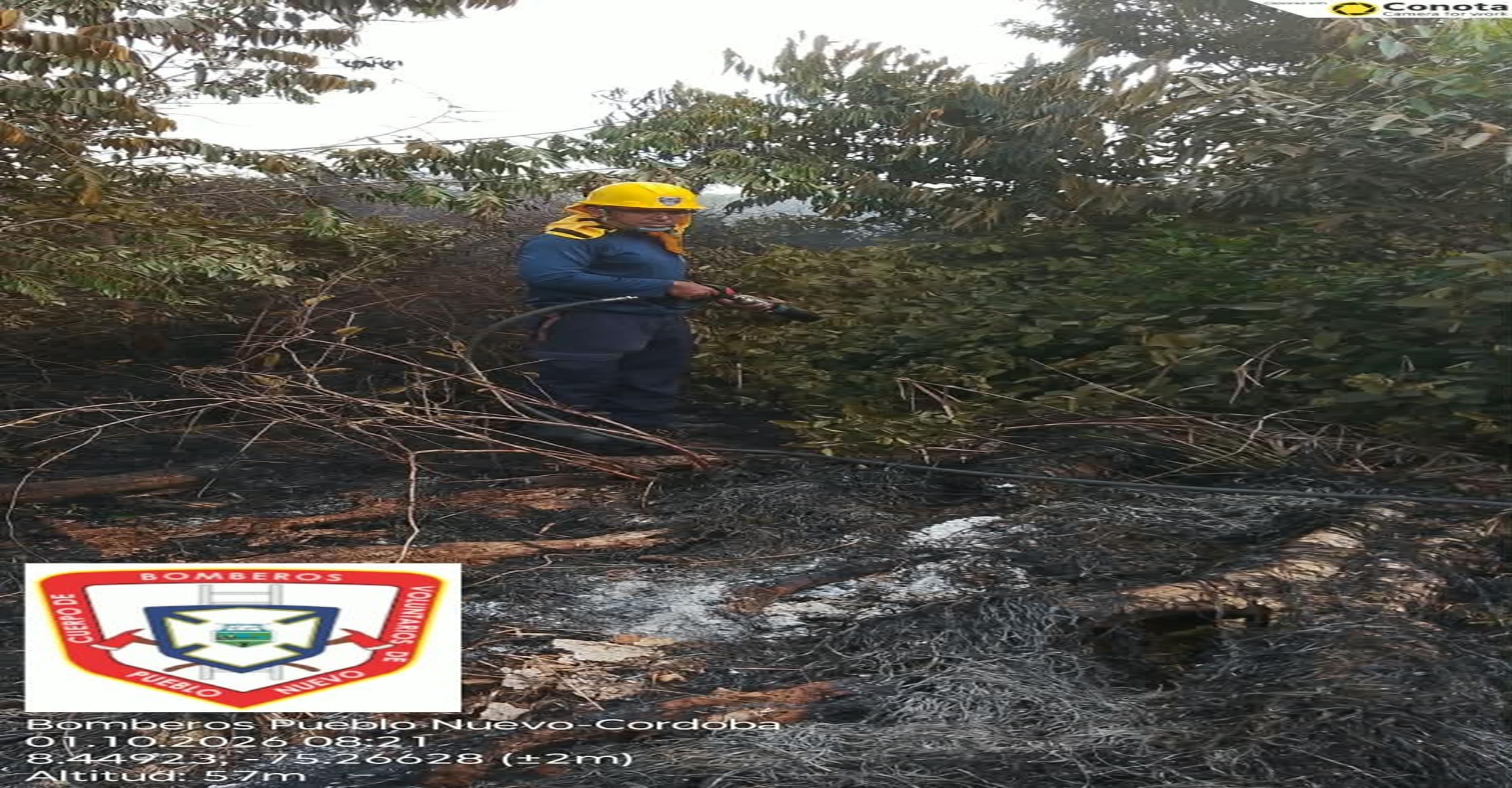 Bomberos liquidaron incendio forestal que afectó 12 hectáreas en Pueblo Nuevo, Córdoba
