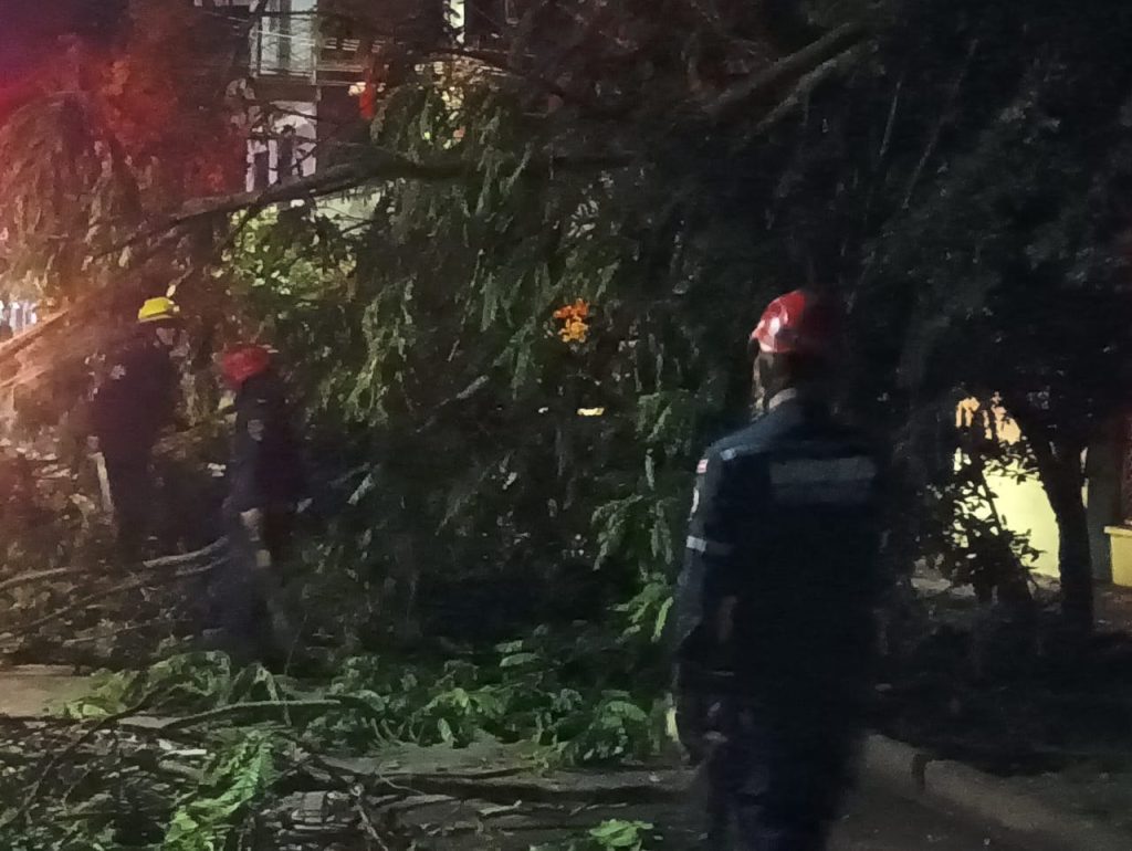 Personal bomberil adelanta labores de inspección y retiro de material vegetal para mitigar riesgos.