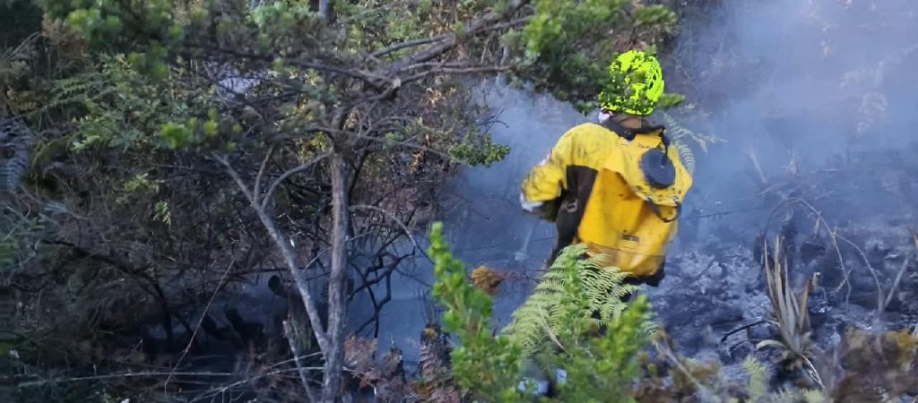 Bombero interviene un punto caliente entre la vegetación, durante las acciones de control y liquidación desarrolladas en la vereda La Tagua Alto.