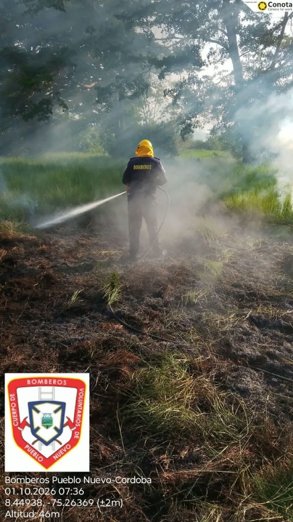 Personal bomberil aplica agua sobre la vegetación afectada, en medio de la presencia de humo, como parte de las labores de extinción y enfriamiento.
