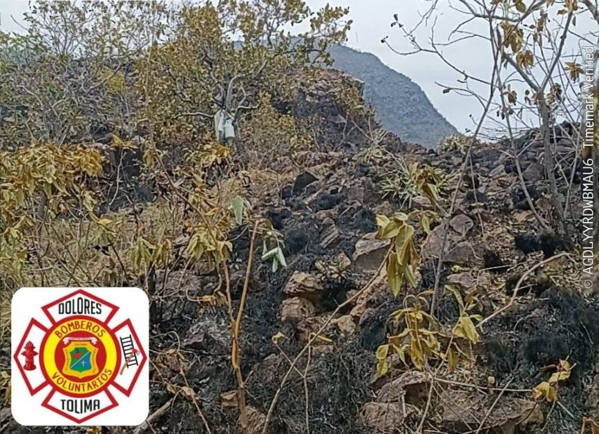 Evidencia de vegetación quemada tras el incendio en la vereda Los Guásimos.