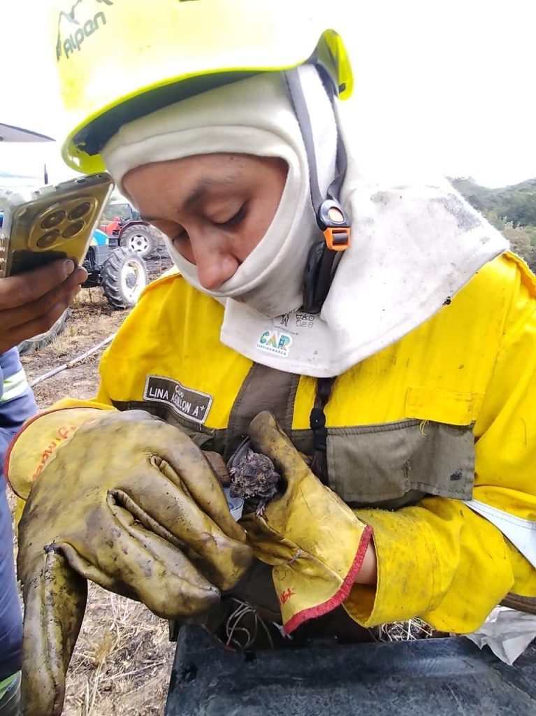 Unidad bomberil efectúa labores de inspección y verificación durante la atención de la emergencia.