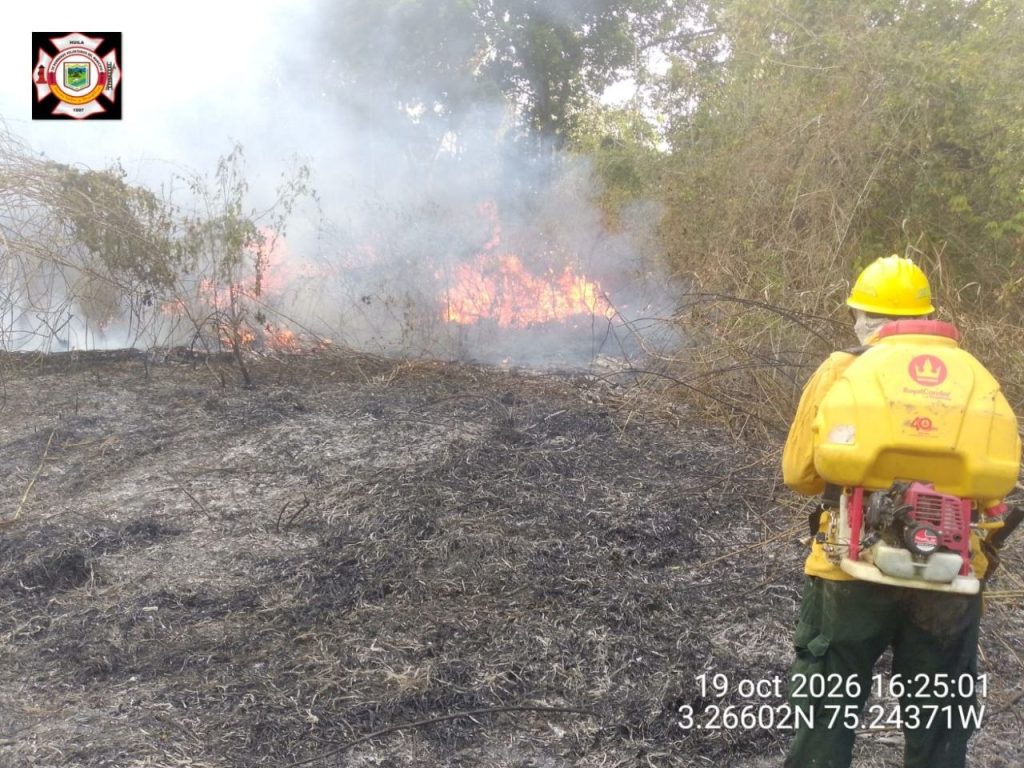 Bombero liquidando incendio forestal.